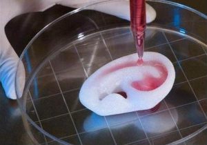 Bio-printing of an ear