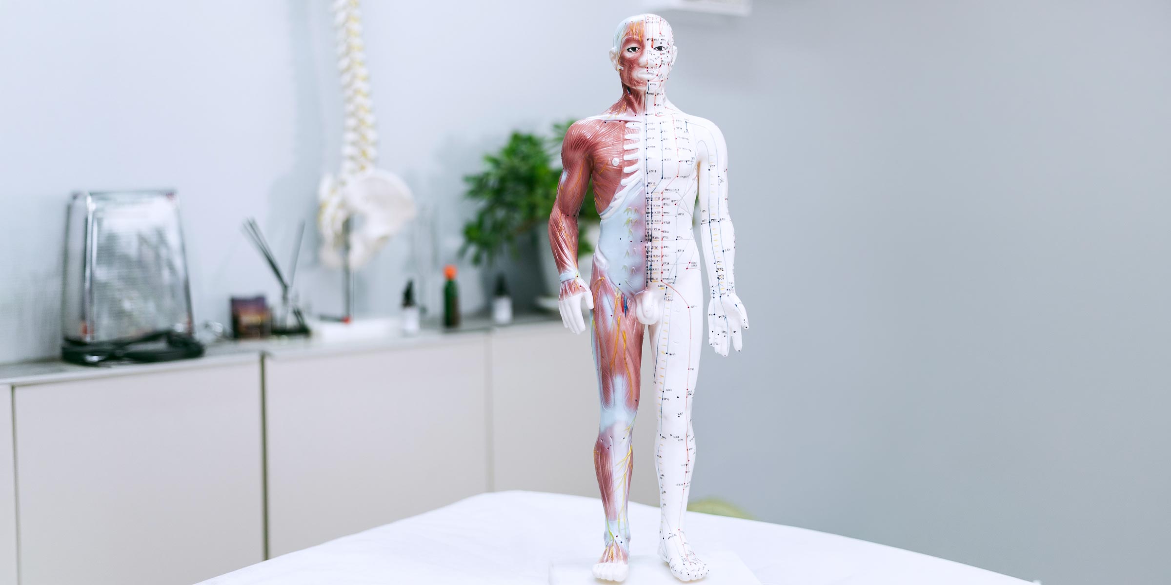 Do You Need a Digital Twin in Orthopedic Surgery?